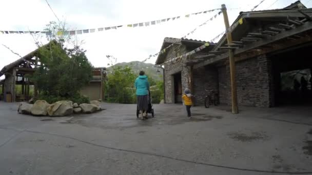 Moeder- en kindervoeding in de Hogle dierentuin — Stockvideo