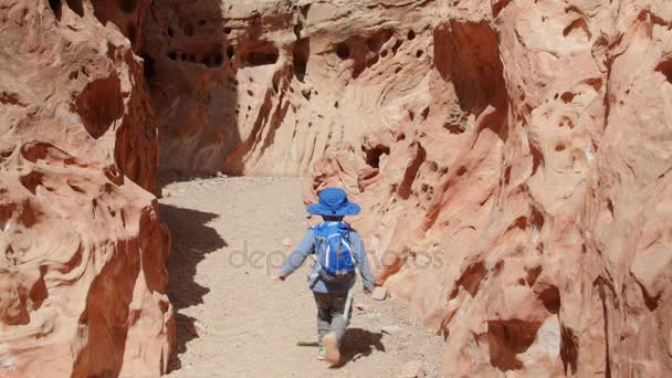 Un niño pequeño caminando en un cañón del desierto — Vídeos de Stock