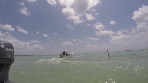 카리브 바다 부두에서 모터 보트 — 비디오
