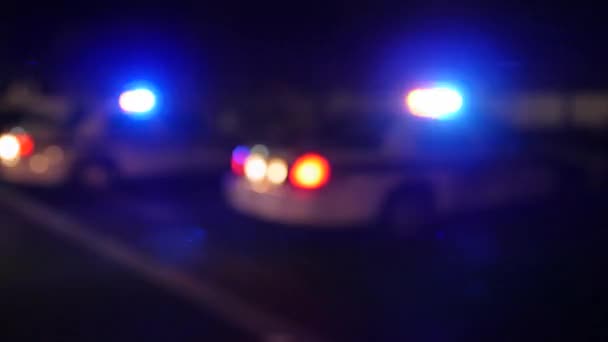 Polizeiautos mit ihren Lichtern — Stockvideo