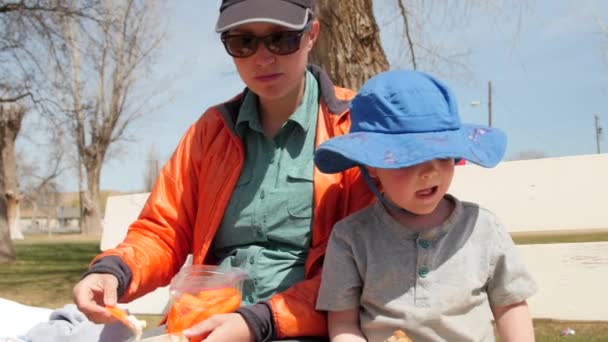 Mutter picknickt mit Sohn im Park — Stockvideo