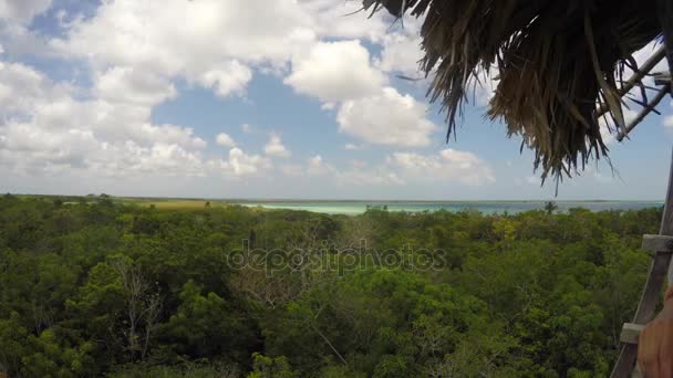 Un turista en una torre de madera sobre el bosque — Vídeo de stock