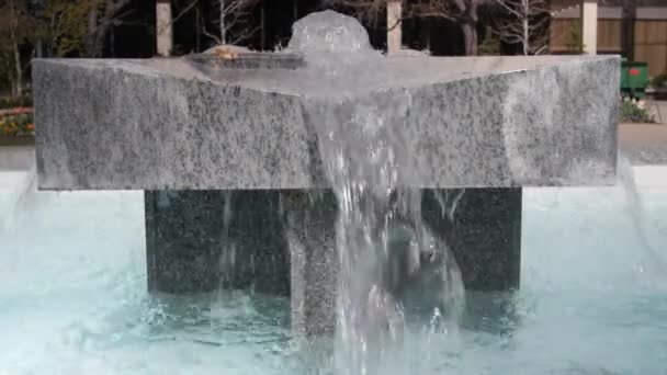 A water fountain in the spring — Stock Video