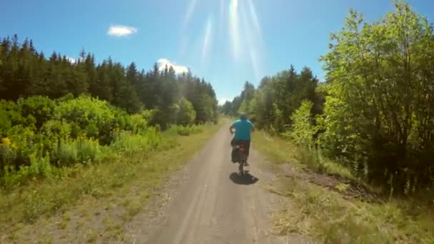 En kvinna som rider en cykel genom skogen — Stockvideo