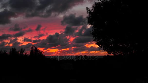 Oceaan zonsondergang boven de kalme zee — Stockvideo