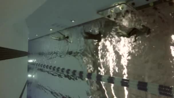 Uma foto subaquática de crianças em uma piscina — Vídeo de Stock
