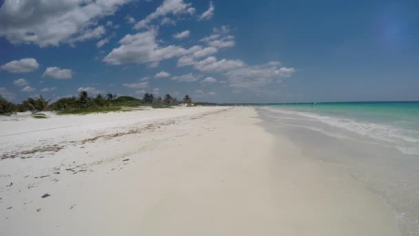 Vackra karibiska Sandy Ocean Beach — Stockvideo