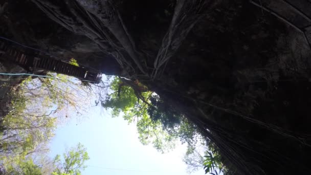 Deep cenote at Ek Balaam mayan ruins — Stock Video