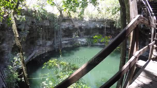 Deep cenote in the Ek Balaam mayan ruins — Stock Video