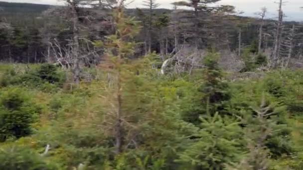 Beau paysage au sentier Skyline — Video