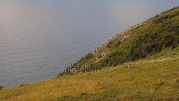 Hermoso paisaje en Skyline Trail — Vídeos de Stock