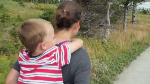 Junge auf dem Rücken der Mutter beim Wandern — Stockvideo