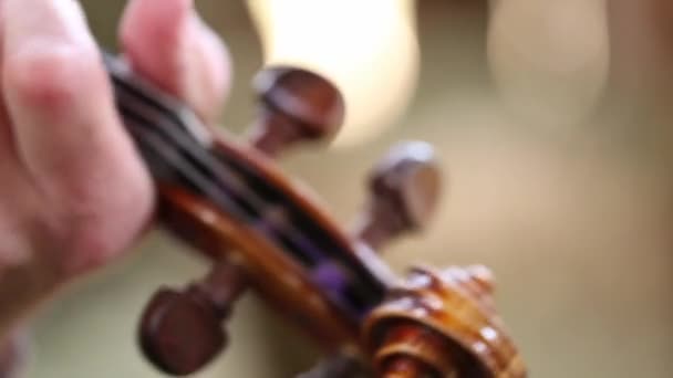 Vaquero jugando violín — Vídeo de stock