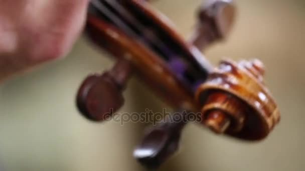 Cowboy giocare violino — Video Stock