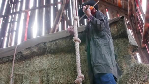 Vaquero jugando violín — Vídeos de Stock