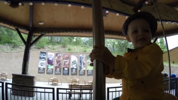 Roztomilý kluk na koni kolotoč v zoo — Stock video