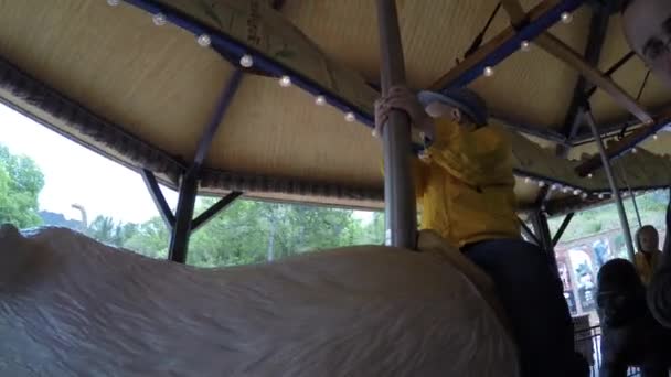 Kids riding carousel at the zoo — Stock Video