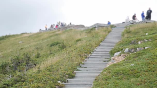 Gezinnen Promenade Skyline Trail Cape Breton Nova Scotia — Stockvideo