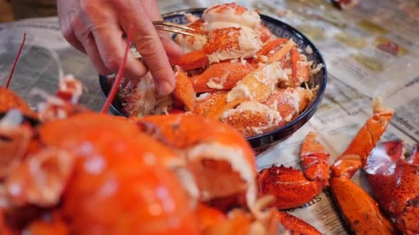 Osób przygotowujących homara — Wideo stockowe