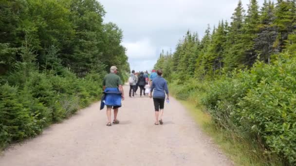 Eine Familienwanderung Auf Dem Skyline Trail Kapbreton Nova Scotia Canada — Stockvideo