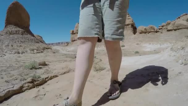 Famille dans le parc d'État chaud de Goblin Valley — Video