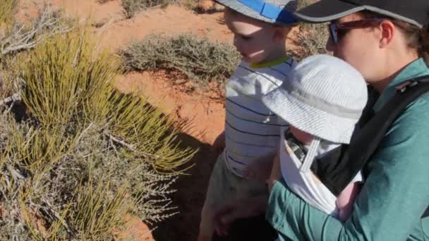 Wandelaars op het arches national park — Stockvideo