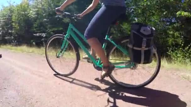 Familjen ridning cykel genom skogen — Stockvideo