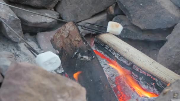 Familie roosteren marshmallows — Stockvideo