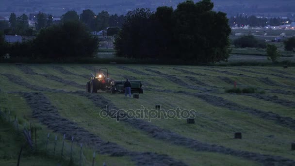 Αγρότης bailing σανό τη νύχτα — Αρχείο Βίντεο