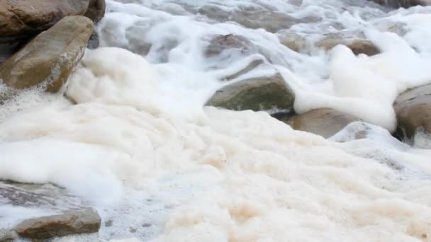 Foam on ocean shoreline — Stock Video