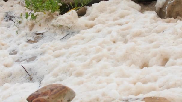 Foam on ocean shoreline — Stock Video