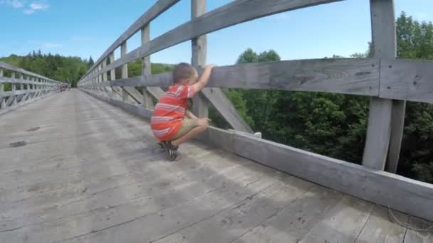 Chico mirando desde un puente de madera — Vídeo de stock