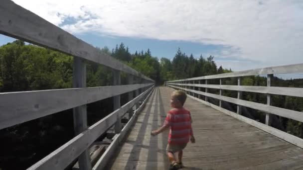 Chico corriendo a través de puente — Vídeo de stock