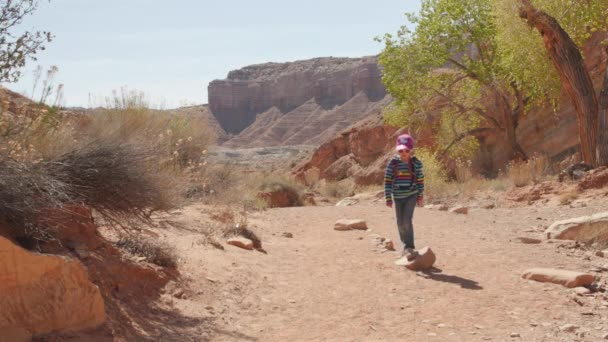 Κορίτσι πεζοπορία μέσα από την έρημο πλυσίματος — Αρχείο Βίντεο