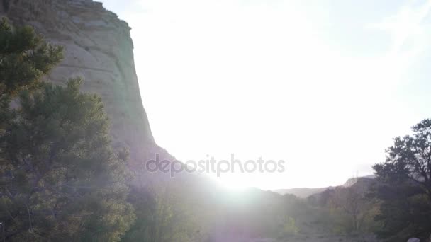 Деревья можжевельника в красивой пустыне — стоковое видео