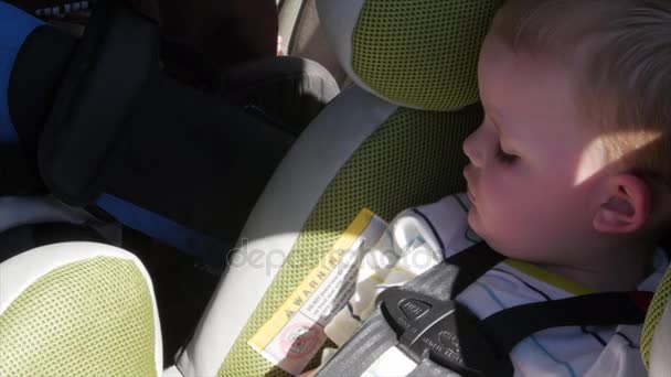 Little boy asleep in a car seat — Stock Video