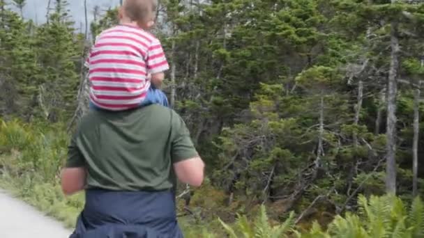 Hombre con un niño camina por el sendero del horizonte — Vídeos de Stock