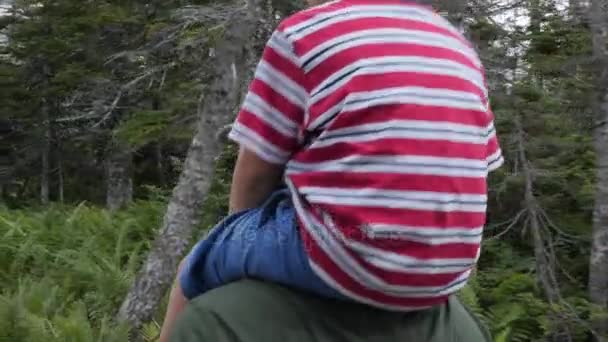 Man met jongen wandelingen de Skyline Trail — Stockvideo