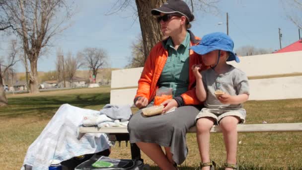 Mutter picknickt mit Sohn im Park — Stockvideo