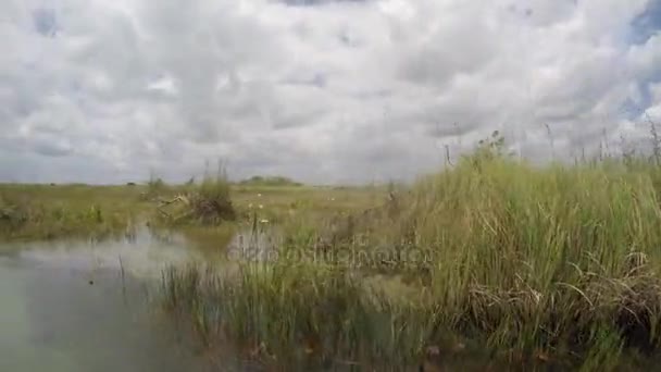 Barco a motor que pasa por el bosque en el océano — Vídeos de Stock