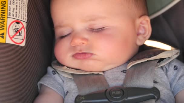 Новонароджена дитина спить у своєму автокріслі — стокове відео