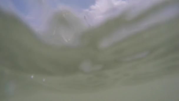 Les vagues océaniques dans les Caraïbes — Video