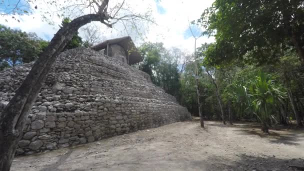 Развалины древних майя в Кобе — стоковое видео