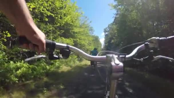 Menschen fahren mit ihren Fahrrädern durch den Wald — Stockvideo