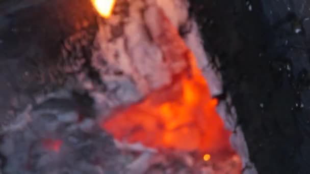 Roasing a marshmallow over hot fire coals — Stock Video