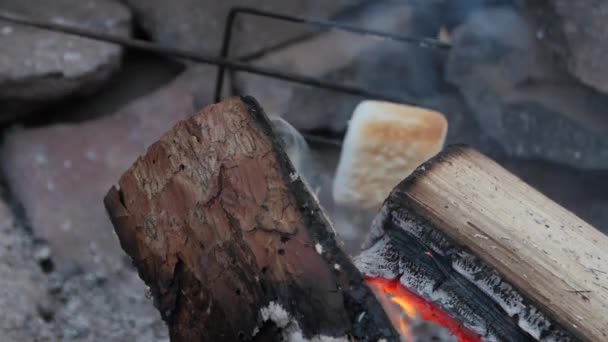 Pražení marshmallows kolem ohně — Stock video