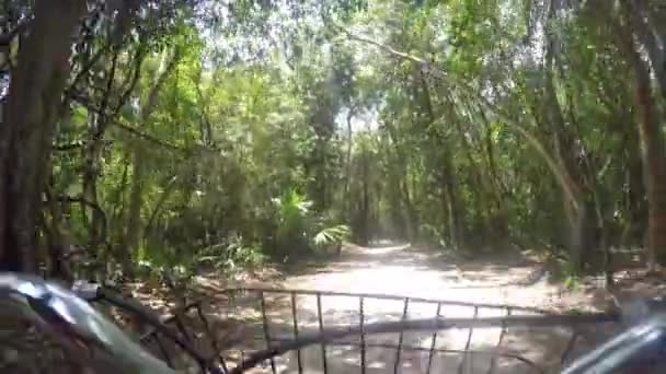 Cykel handtag på en smuts sökväg — Stockvideo