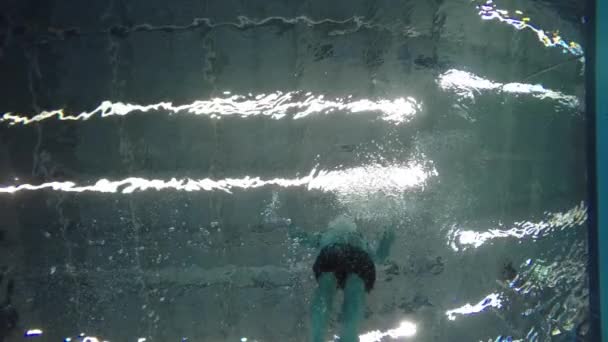 Movimiento lento del hombre nadando en la piscina — Vídeos de Stock