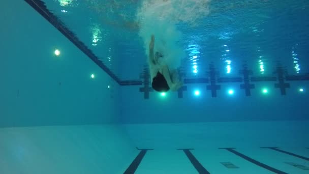 Canhão nadador na piscina — Vídeo de Stock