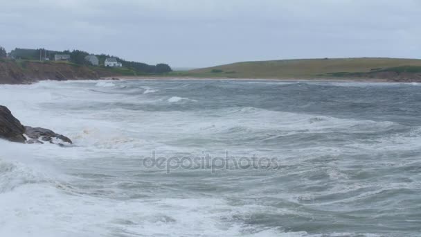Vågor som landar på stenar på Cape Breton kust — Stockvideo